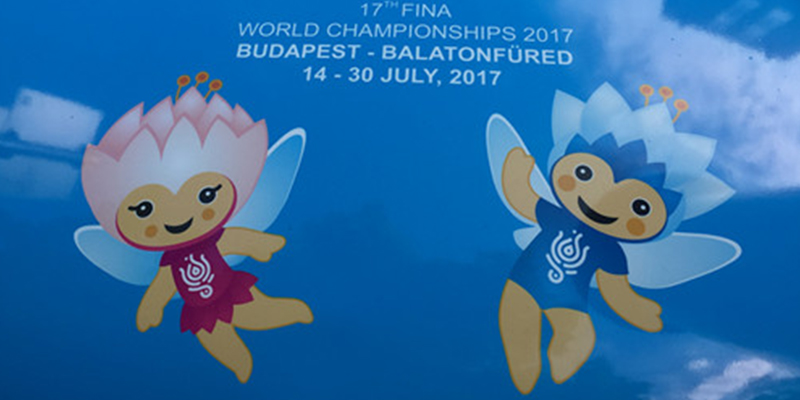 热烈庆祝绿蛙看台成为FINA国际游泳联合会2017布达佩斯世界游泳锦标赛看台供应商