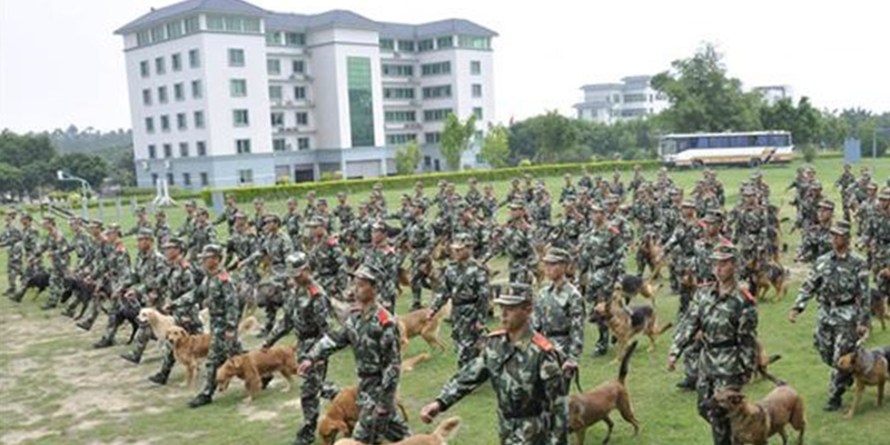 广州武警警犬训练基地固定看台全部竣工